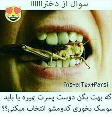 یا باید دوست پسرت بمیره یا این ملخو بخوری رویا 18