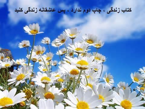 105549 محی1234