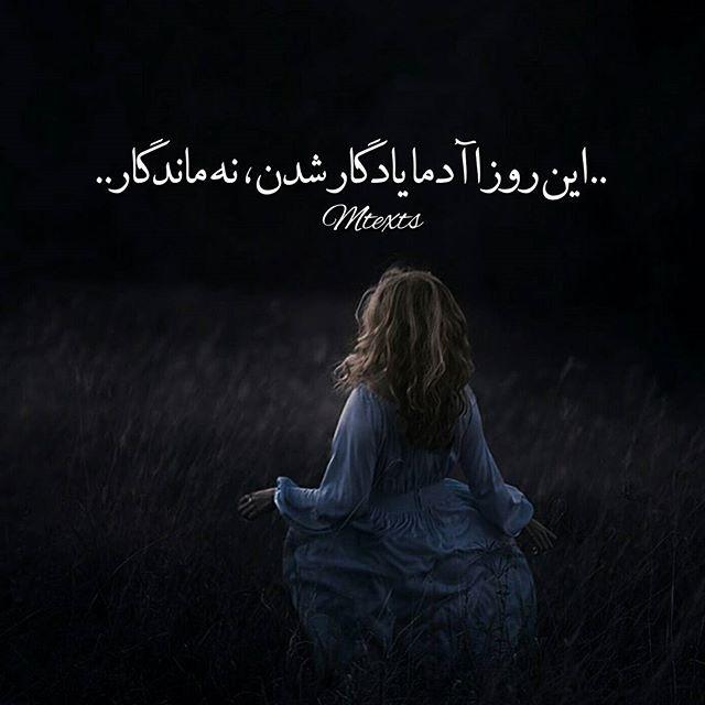 107534 پرنسس