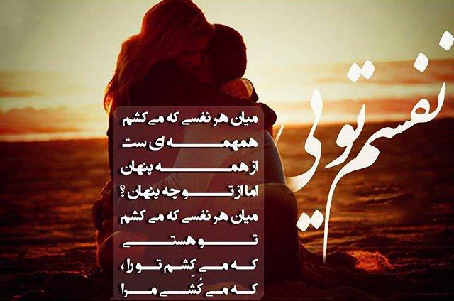 109564 امیروو