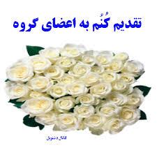 113655 امانج