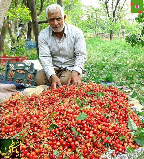 خدایا  هر شب به آسمان نگاه می کنم و می اندیشم... در این آرامش شب چه بسیار دلها  که غمگین و پر اضطرابند خدایا‌ تو آرام دلشان باش الناز33