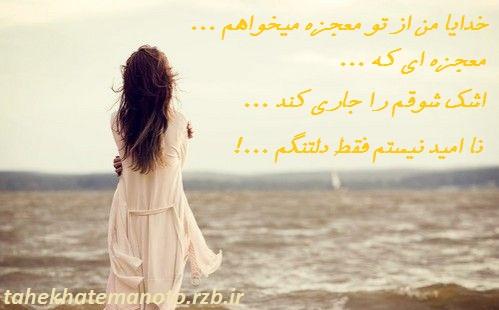 117076 زهرا16