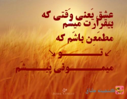 عشق یعنی ریبین