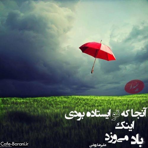 12097 شکوفه74