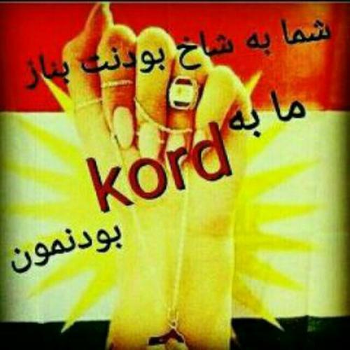 126453 kord