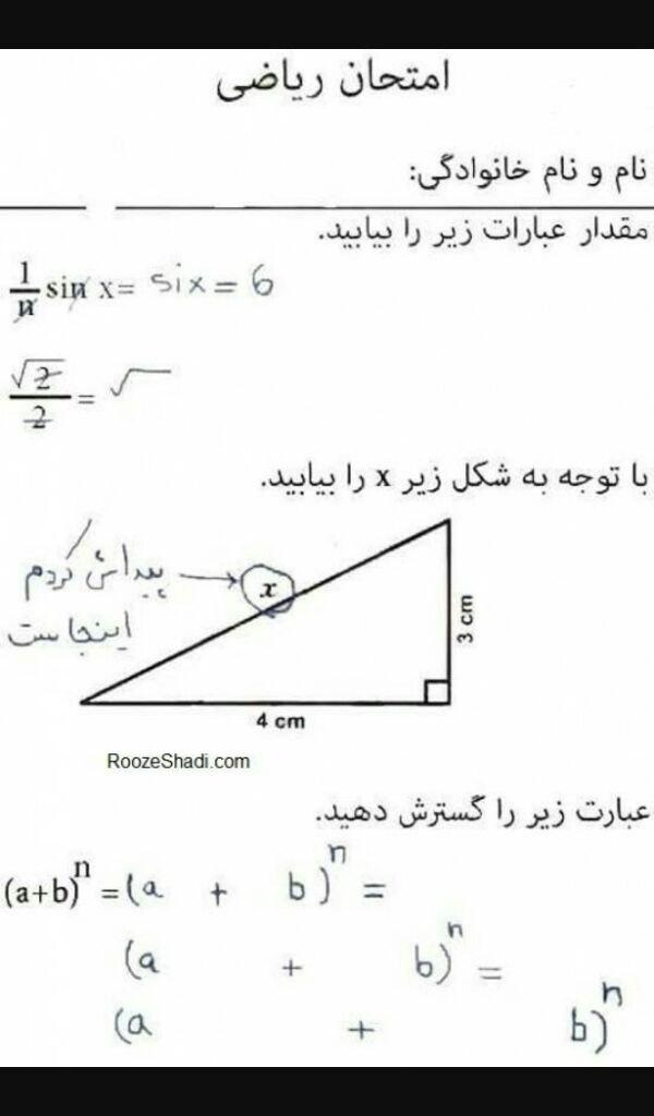 132713 نسترن