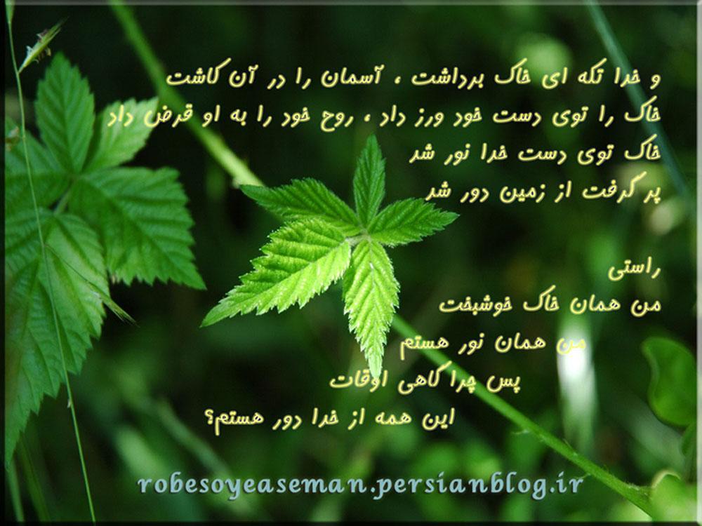 راستی من همان خاک خوشبختم که از خدا دور شدم؟ الناز33