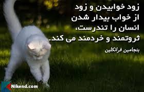 136623 شایسته 80