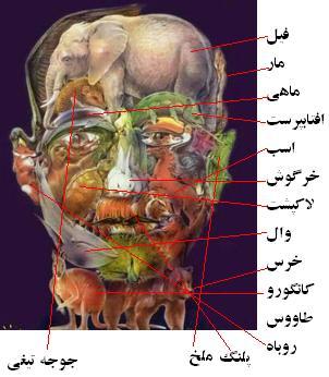 چند تا حیوان میبینی؟ الناز33