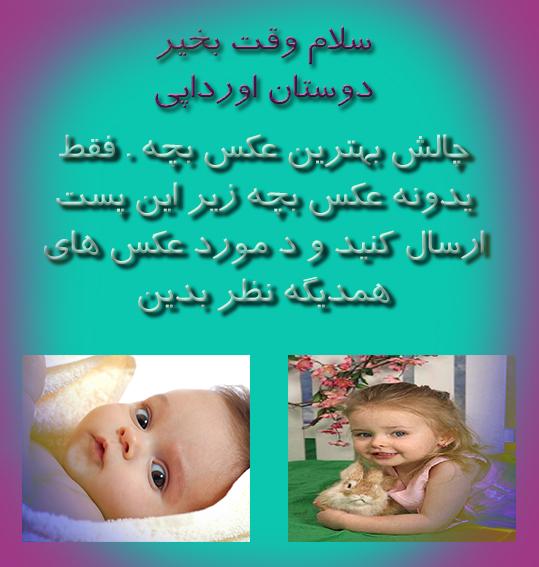 148037 سامان اندی