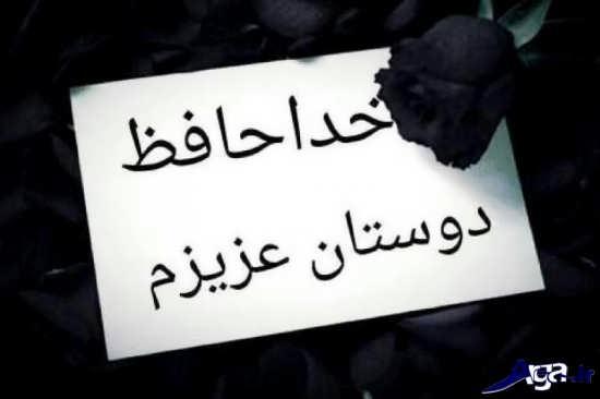 149815 سامان اندی