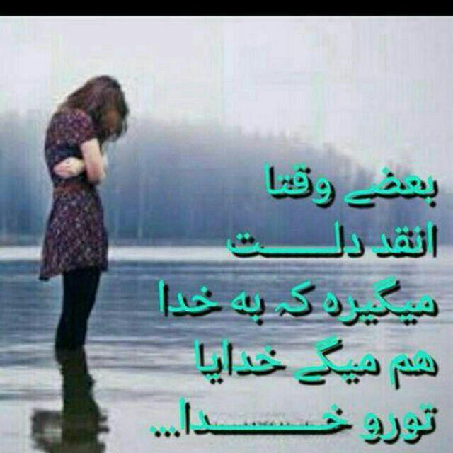 158552 بهاره123