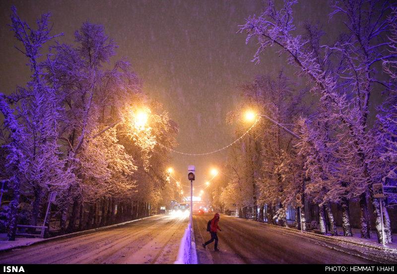 162849 سامان اندی