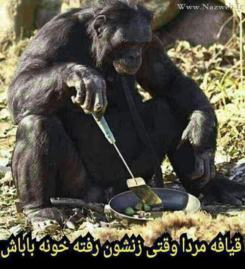 163725 تااجمننهن