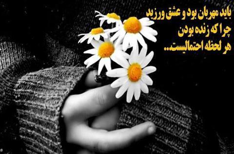 181503 فردای بهتر