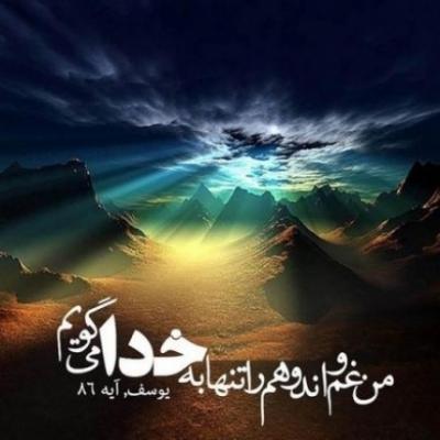 184703 بی ناموسم