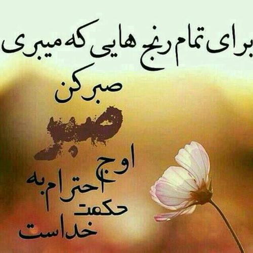 185272 بی ناموسم