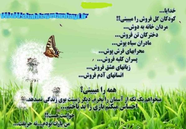 185277 بی ناموسم