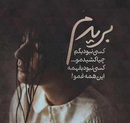 198784 رز وحشی