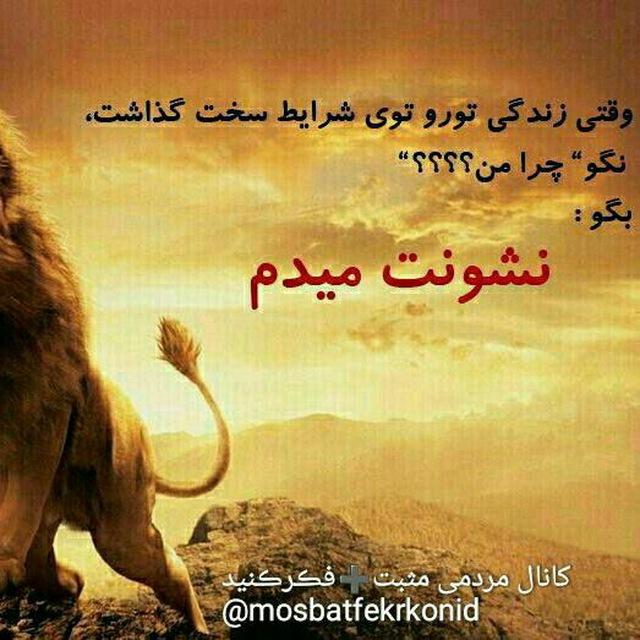 202638 علی آقای بارانی