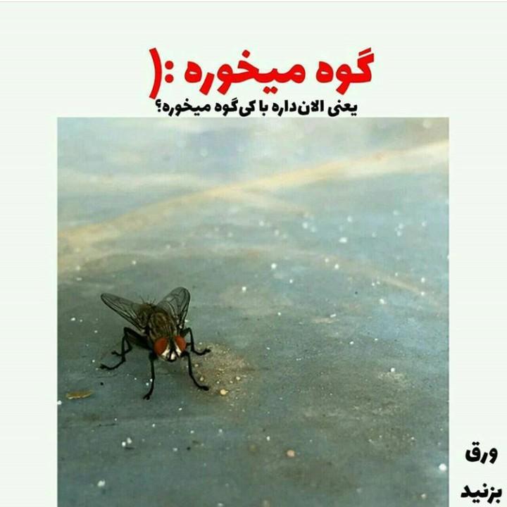 212506 فاطمه13