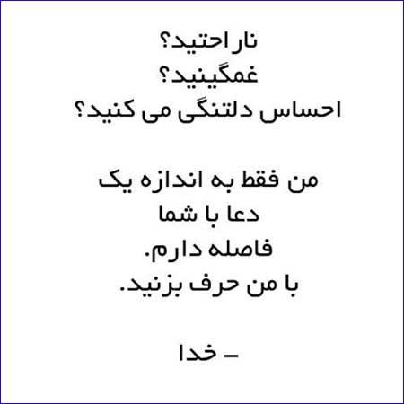 216261 تای امو