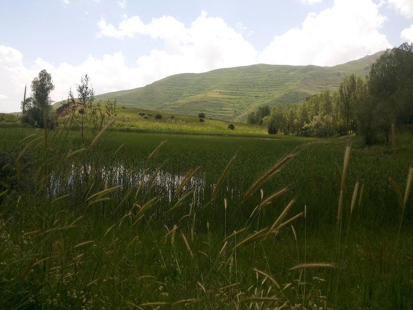 روستای مرزاباد خاروانا الناز33 الناز33