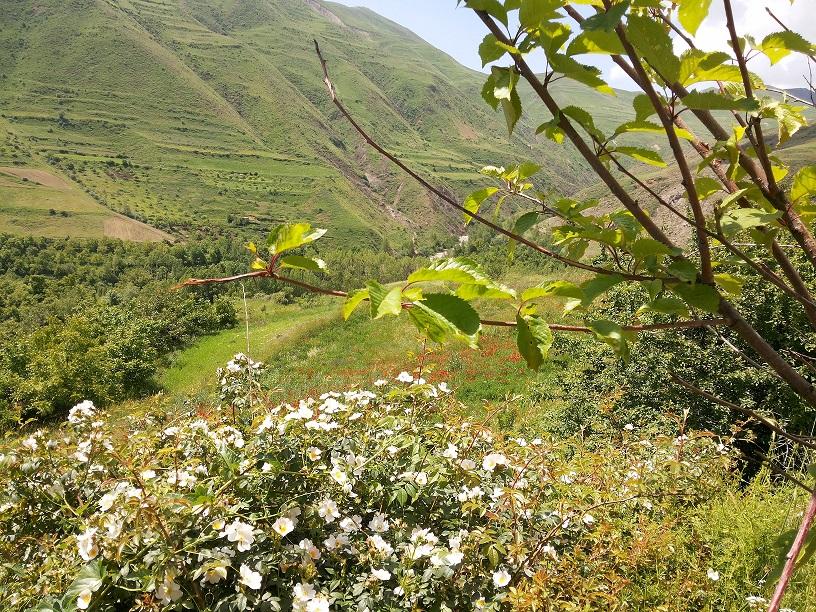 روستای مرزاباد عید فطر 1397 الناز33