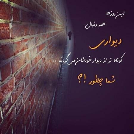 230525 نسرین سلطان