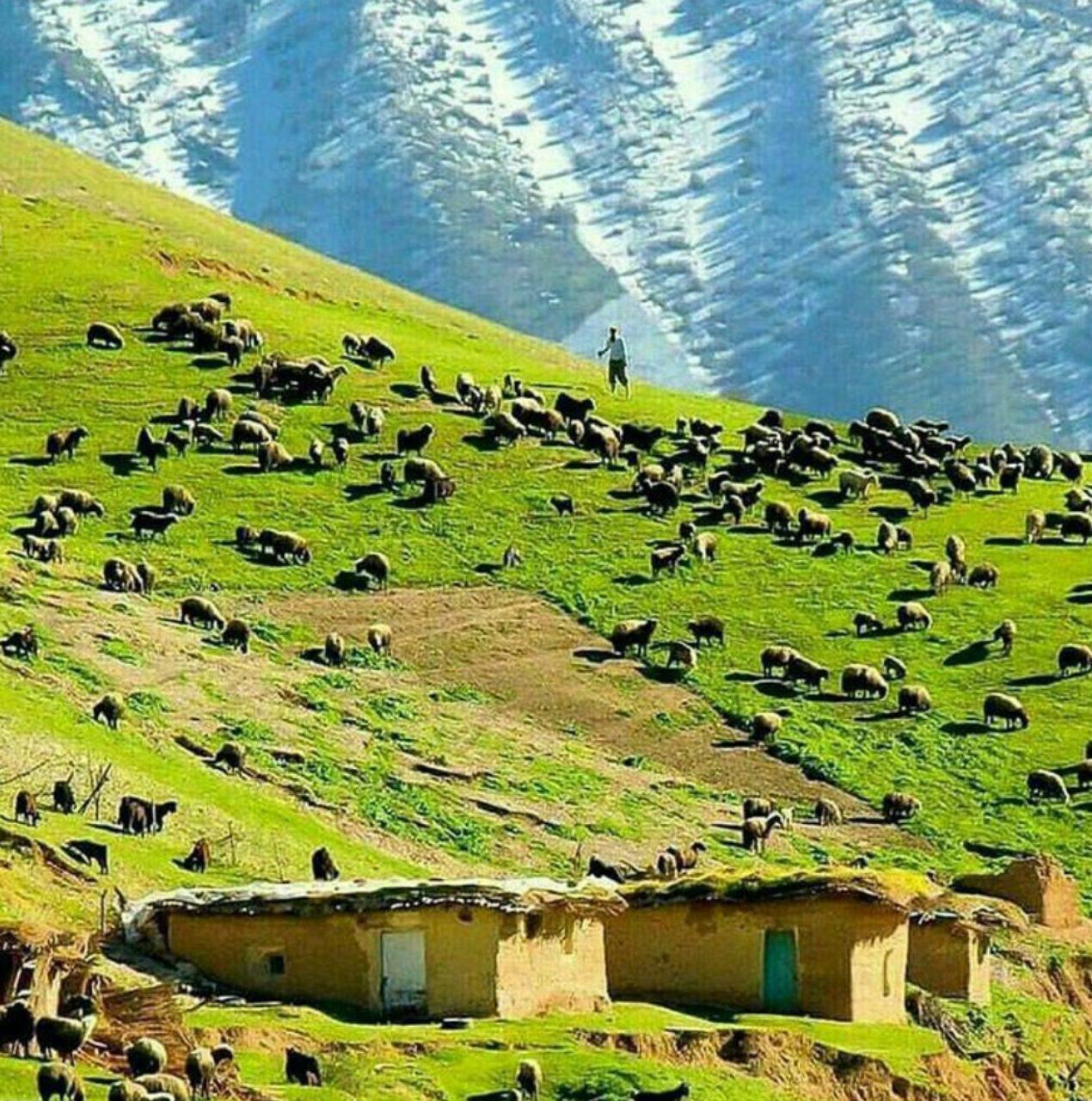 روستای کولویی لرستان **abdolla**