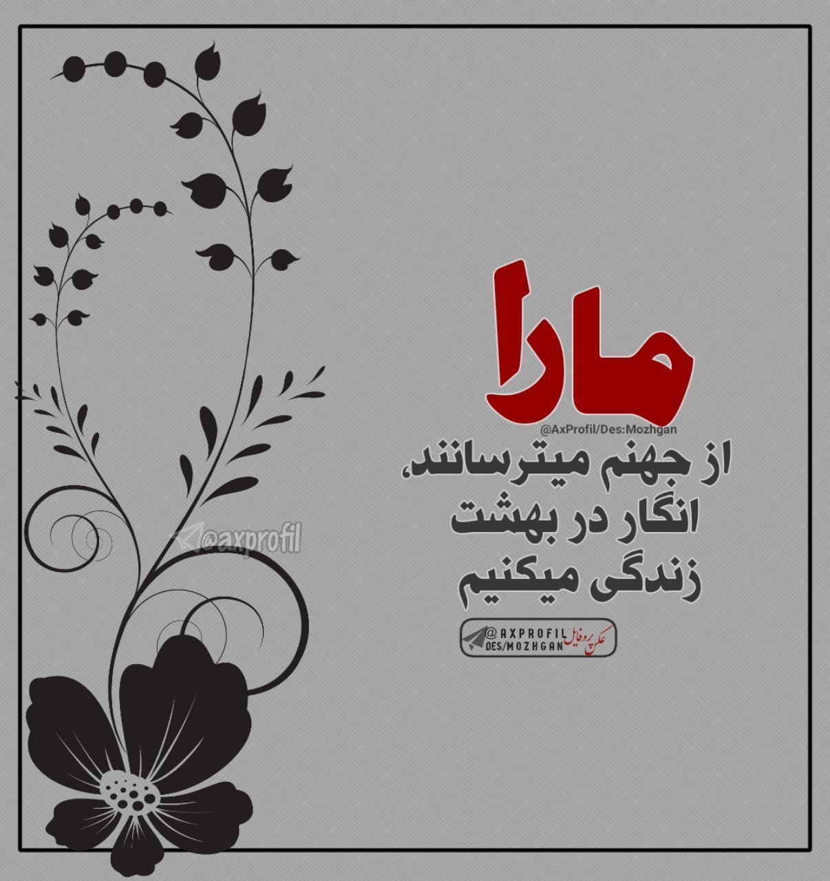 239468 علیرضاs