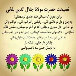 240161 علی آقای بارانی