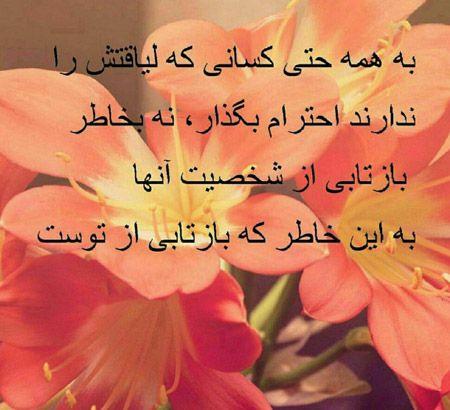 240577 علی آقای بارانی