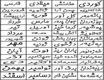 24575 ساقه طلایی