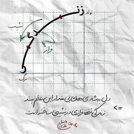 دل به شادی های بی مقدار این عالم نبند زندگی تنها فرازی در نشیبی ساخته است رها5495