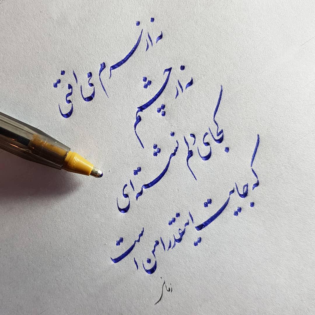 262159 رز وحشی