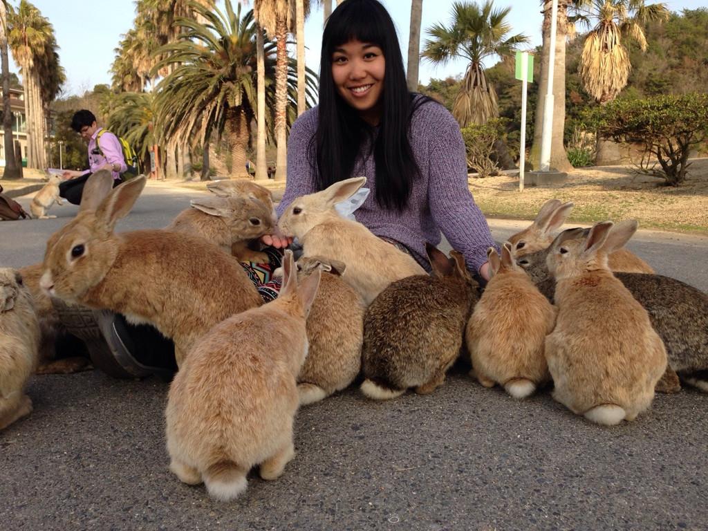 جزیره اوکانوشینا یا جزیره خرگوش، ژاپن | Okunoshima Island, Japan الناز33