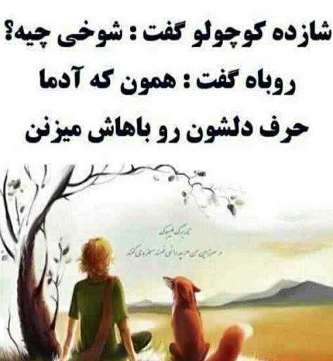 269741 امیرحسام65