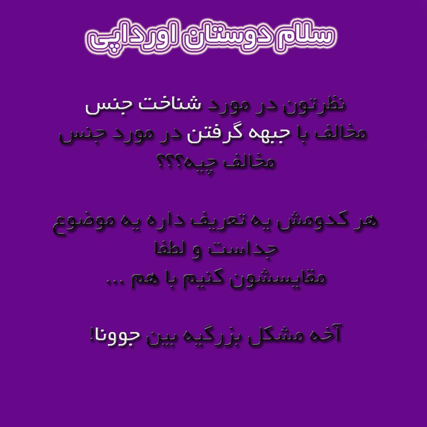 278639 سامان اندی