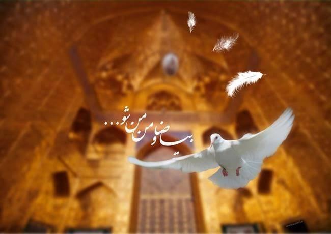 285790 حسین آرام جانم