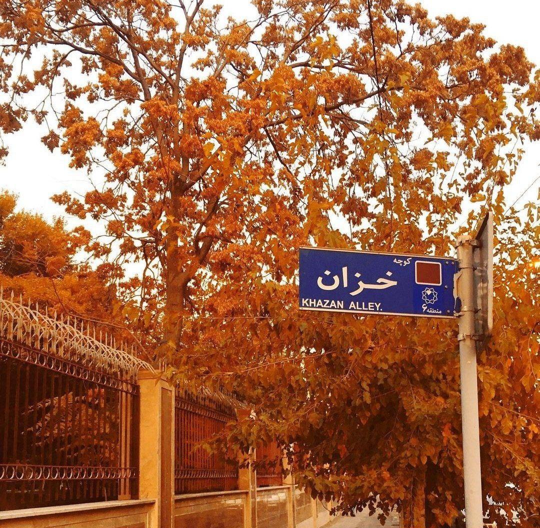 285795 مریمی22