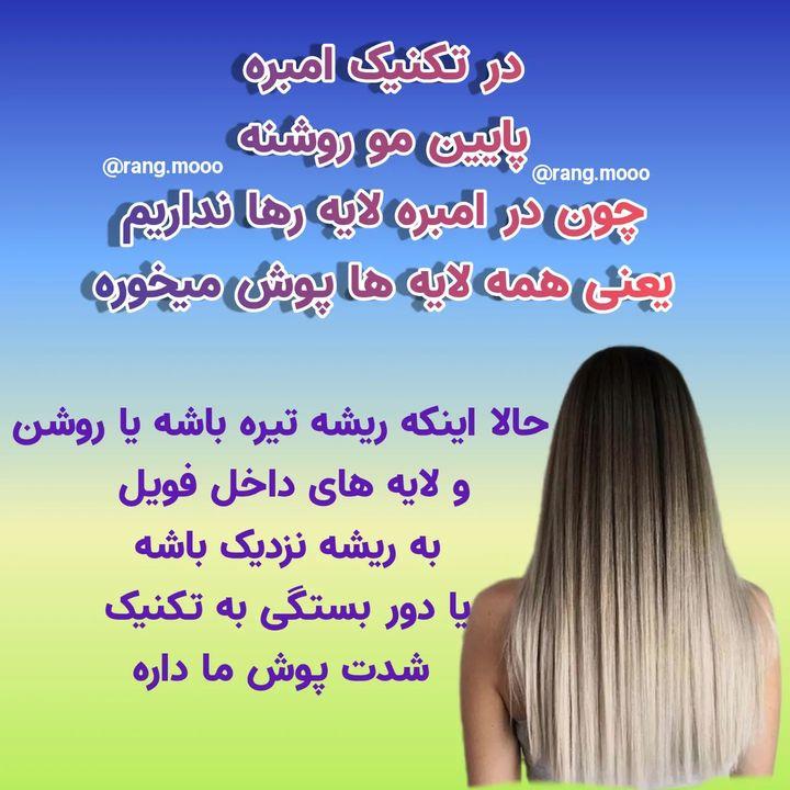 287995 **yalda**