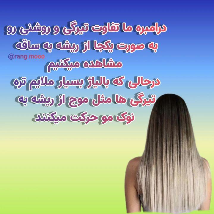 288001 **yalda**