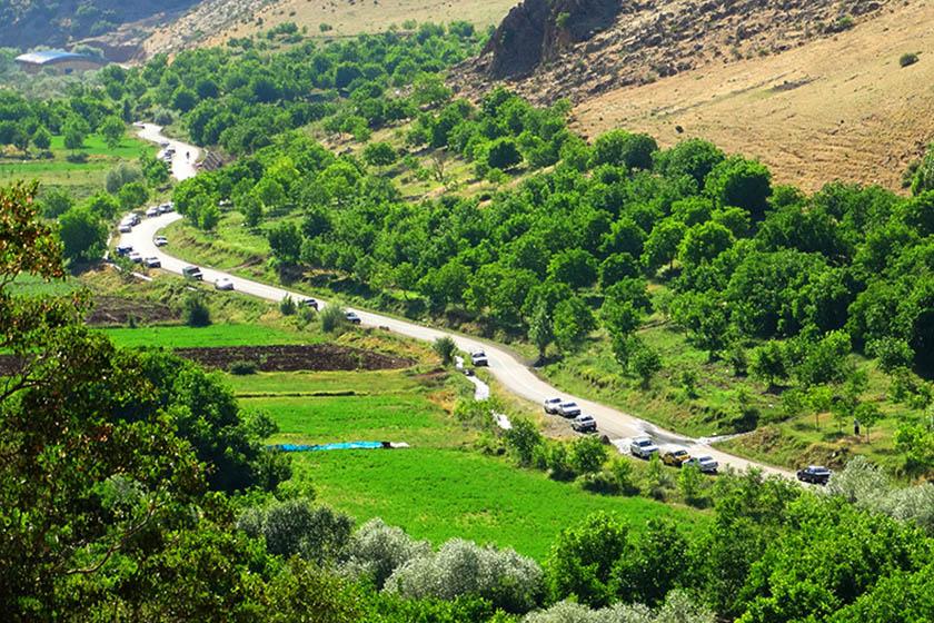 290931 سامان اندی