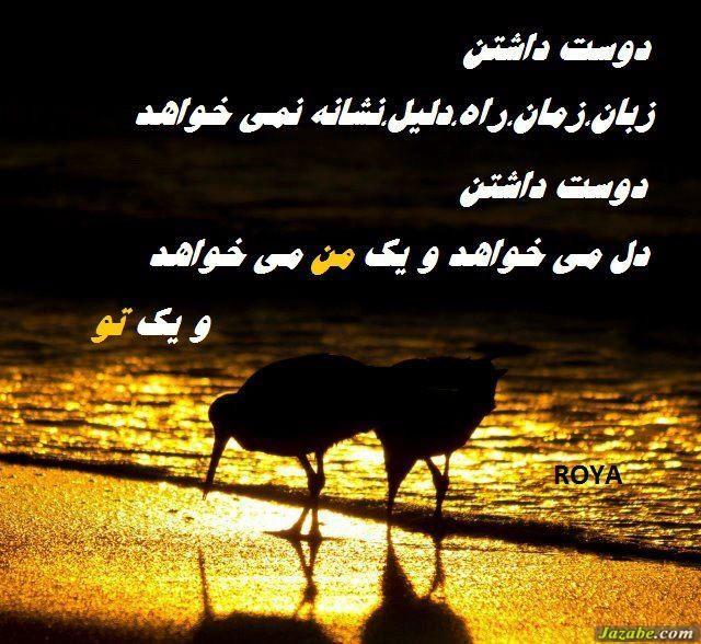 33658 ممد مشهدی