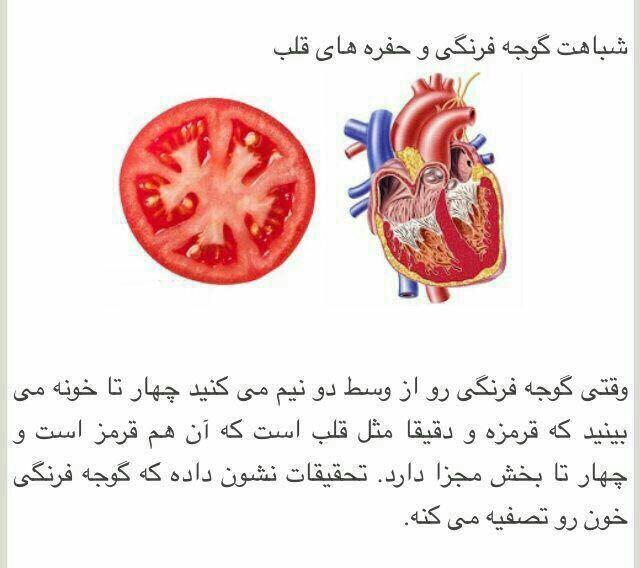 تبریز مشکین شهر مرند میانه ارومیه زنجان تهران کرمان اراک اصفهان مشهد بجنورد گیلان گرگان رشت ساری مازندران چت اورداپ تولد ازدواج استخدام حوا الناز33