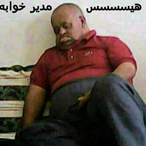 48988 ساجده00