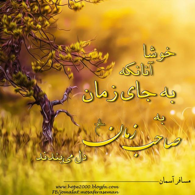 5365 **علی آقا**