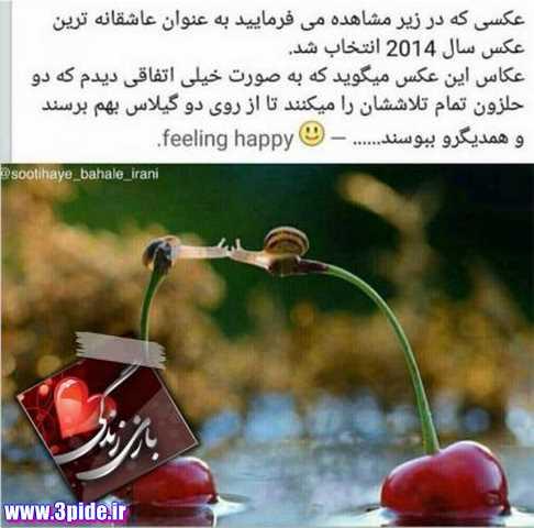 5427 **علی آقا**